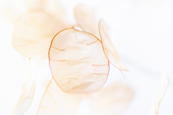 laura-adai-sKXMMHpz1Uw-unsplash laura-adai-sKXMMHpz1Uw-unsplash